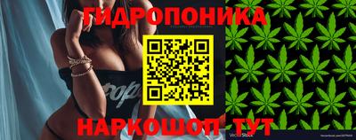 мяу мяу мука Пыть-Ях