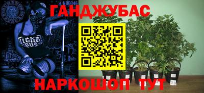 мяу мяу мука Пыть-Ях