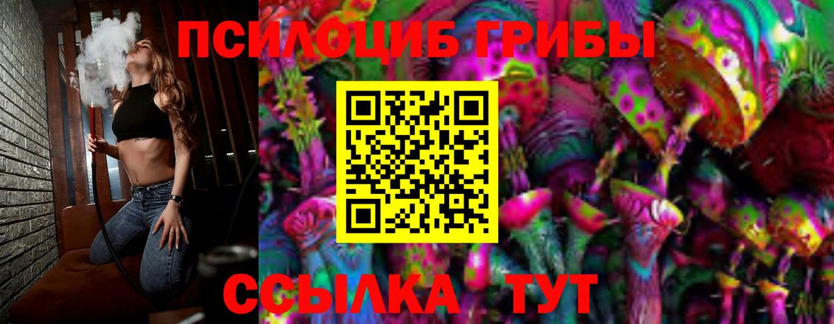 Галлюциногенные грибы мицелий Моздок
